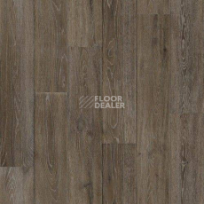 Линолеум Tarkett Admiral LINCOLN 4 фото 1 | FLOORDEALER