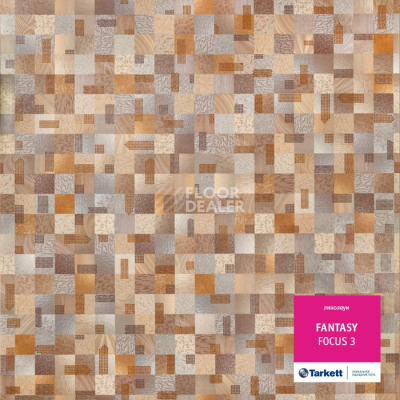 Линолеум Tarkett Fantasy FOCUS 3 фото 1 | FLOORDEALER
