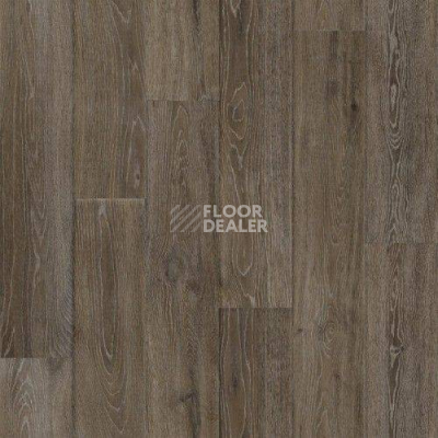 Линолеум Tarkett Admiral LINCOLN 4 фото 1 | FLOORDEALER