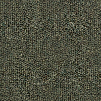 Ковролин Salisbury Beaulieu of America 302 фото 1 | FLOORDEALER