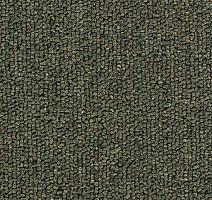 Ковролин Salisbury Beaulieu of America 302 фото 1 | FLOORDEALER