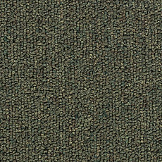 Ковролин Salisbury Beaulieu of America 302 фото 1 | FLOORDEALER