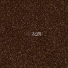 Ковролин Shaw Design Texture Platinum 795 фото 1 | FLOORDEALER