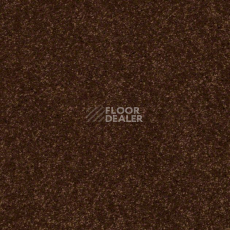 Ковролин Shaw Design Texture Platinum 795 фото 1 | FLOORDEALER