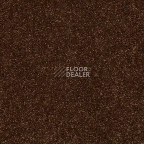 Ковролин Shaw Design Texture Platinum 795 фото 1 | FLOORDEALER