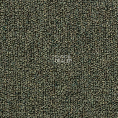 Ковролин Salisbury Beaulieu of America 302 фото 1 | FLOORDEALER