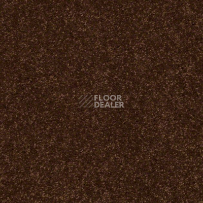 Ковролин Shaw Design Texture Platinum 795 фото 1 | FLOORDEALER