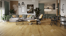 Alpine Floor by Classen Pro Nature 4мм Caldas 62543 фото 4 | FLOORDEALER