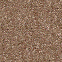 Ковролин Hidden Treasure Beaulie of America Light Hickory 06 фото 1 | FLOORDEALER