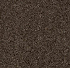 Ковролин Big Majesty 995 фото 1 | FLOORDEALER