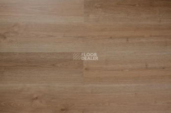 Кварцвиниловые полы Evofloor Optima Click 4.2мм Дуб Миндаль фото 1 | FLOORDEALER