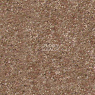 Ковролин Hidden Treasure Beaulie of America Light Hickory 06 фото 1 | FLOORDEALER