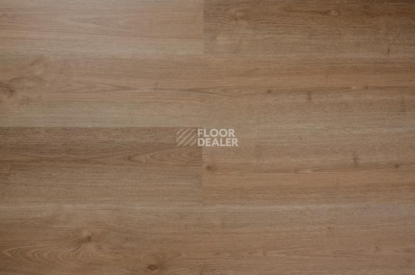 Кварцвиниловые полы Evofloor Optima Click 4.2мм Дуб Миндаль фото 1 | FLOORDEALER