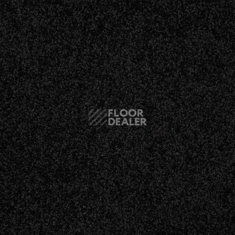 Haima Noble 03 фото 6 | FLOORDEALER