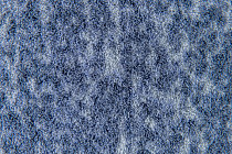 Flotex Colour Canyon 50*50 t 545028 Canyon Sapphire фото 2 | FLOORDEALER