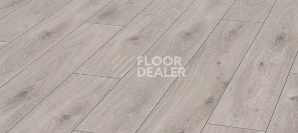 Ламинат Kronotex Aqua Amazone 10мм D3239 Дуб Престиж белый фото 1 | FLOORDEALER