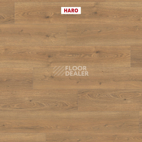 Haro Tritty 100 4V Дуб Флавия Натур 544708 фото 2 | FLOORDEALER