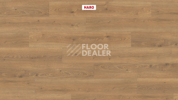 Ламинат Haro Tritty 100 4V Дуб Флавия Натур 544708 фото 2 | FLOORDEALER