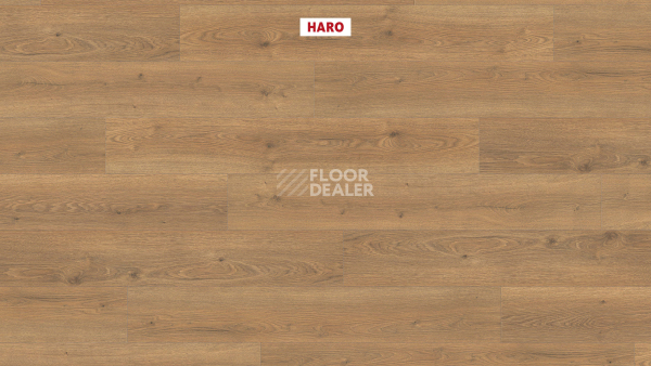 Haro Tritty 100 4V Дуб Флавия Натур 544708 фото 2 | FLOORDEALER