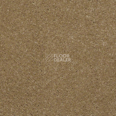 Ковролин Shaw Design Texture Platinum 744 фото 1 | FLOORDEALER