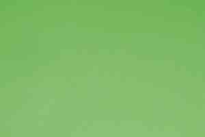 Линолеум Forbo Sportline Classic Fr 03040 фото  | FLOORDEALER