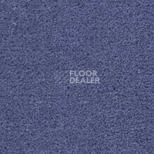 Ковролин Radici Montecarlo 31 фото 1 | FLOORDEALER