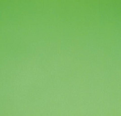 Линолеум Forbo Sportline Classic Fr 03040 фото 1 | FLOORDEALER