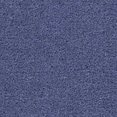 Ковролин Radici Montecarlo 31 фото 1 | FLOORDEALER