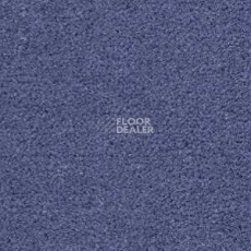 Ковролин Radici Montecarlo 31 фото 1 | FLOORDEALER