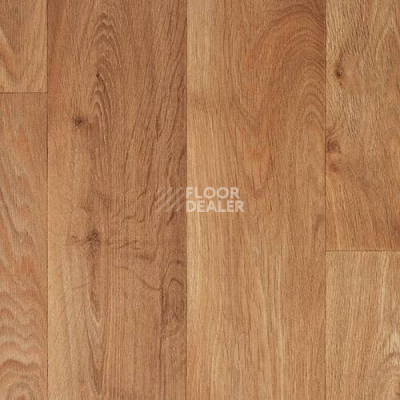 Линолеум IVC Bingo Toronto-45 фото 1 | FLOORDEALER