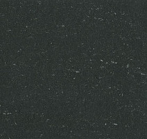 Линолеум Colorette 0081 Private Black фото 1 | FLOORDEALER