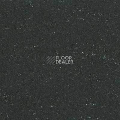 Линолеум Colorette 0081 Private Black фото 1 | FLOORDEALER