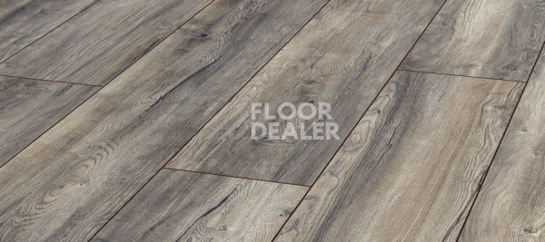 Ламинат Kronotex Exquisit Plus d3572 Дуб Портовый Серый фото 1 | FLOORDEALER