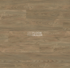 Ламинат Haro Tritty 100 Gran Via 4V Вяз Варио 544744 фото 1 | FLOORDEALER