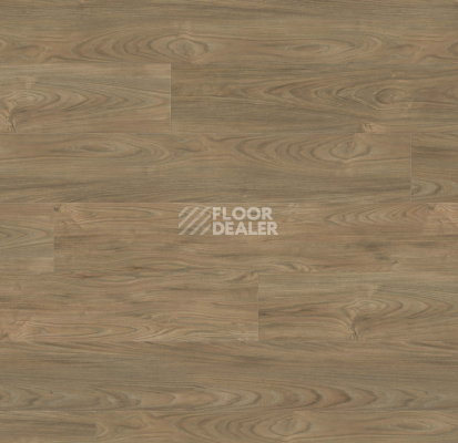 Ламинат Haro Tritty 100 Gran Via 4V Вяз Варио 544744 фото 1 | FLOORDEALER