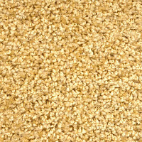 Ковролин Зартекс Фортуна Фортуна 008 Золотистый фото 1 | FLOORDEALER