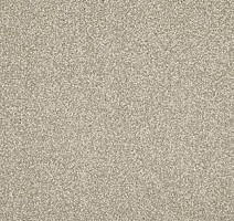 Ковролин AW Miracle 35 фото 1 | FLOORDEALER