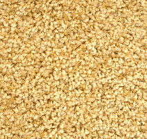 Ковролин Зартекс Фортуна Фортуна 008 Золотистый фото 1 | FLOORDEALER