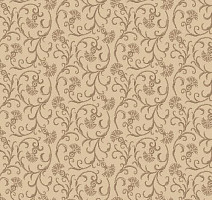 Ковролин Agnella Natural Asami Beige фото 1 | FLOORDEALER