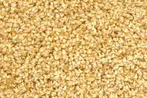 Ковролин Зартекс Фортуна Фортуна 008 Золотистый фото  | FLOORDEALER