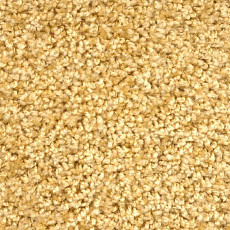 Ковролин Зартекс Фортуна Фортуна 008 Золотистый фото 1 | FLOORDEALER