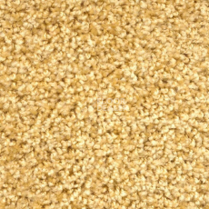 Ковролин Зартекс Фортуна Фортуна 008 Золотистый фото 1 | FLOORDEALER