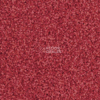 Ковровая плитка Balsan Mezzo Sonic Confort 570 фото 1 | FLOORDEALER