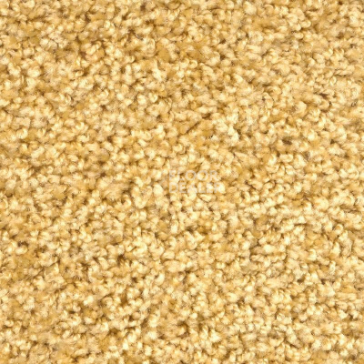 Ковролин Зартекс Фортуна Фортуна 008 Золотистый фото 1 | FLOORDEALER