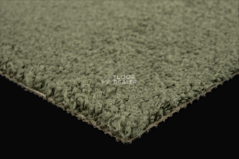 AW Daydream AW Daydream  24 фото 5 | FLOORDEALER