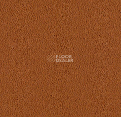 Ковровая плитка Westbond Ibond красная гамма 9220 фото 1 | FLOORDEALER