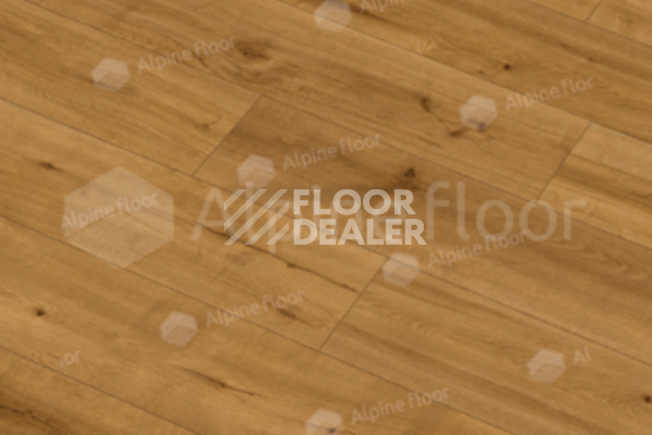 Виниловая плитка ПВХ Alpine Floor by Classen Pro Nature 4мм Andes 62544 фото 1 | FLOORDEALER