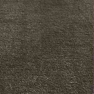 Ковролин Jacaranda Carpets Simla Fern фото ##numphoto## | FLOORDEALER