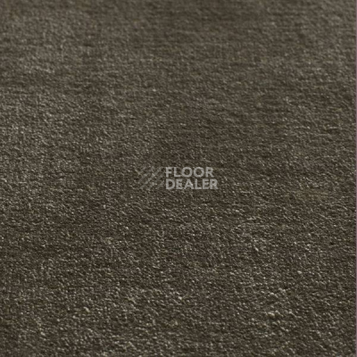 Ковролин Jacaranda Carpets Simla Fern фото 1 | FLOORDEALER