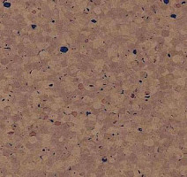 Кварцвиниловые полы Mipolam Elegance 0698_Cacao фото 1 | FLOORDEALER